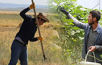 Tarımda Gençlik Alarmı: Kırsala Dönüş İçin "Tersine Göç" Hamlesi Başlıyor