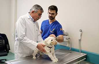 Selçuk Üniversitesi Hayvan Hastanesi’nden Rekor Hizmet: 2025’te 21 Bin Hayvana Şifa Oldu