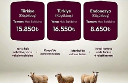 DUHA ile İyilik Sofralardan Kalplere Uzanıyor: Adak,...