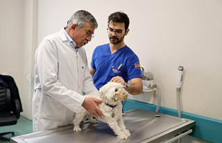 Selçuk Üniversitesi Hayvan Hastanesi’nden Rekor...