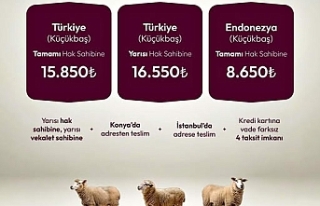 DUHA ile İyilik Sofralardan Kalplere Uzanıyor: Adak,...