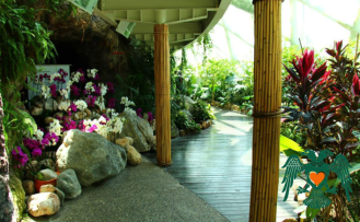 Konya Tropikal Kelebek Bahçesi Kapılarını Yeniden Açtı: Modernize Edilen Bahçe Ziyaretçilerini Bekliyor!